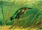Kingfisher Poster Print by  Vincent Van Gogh - Item # VARPDX374494